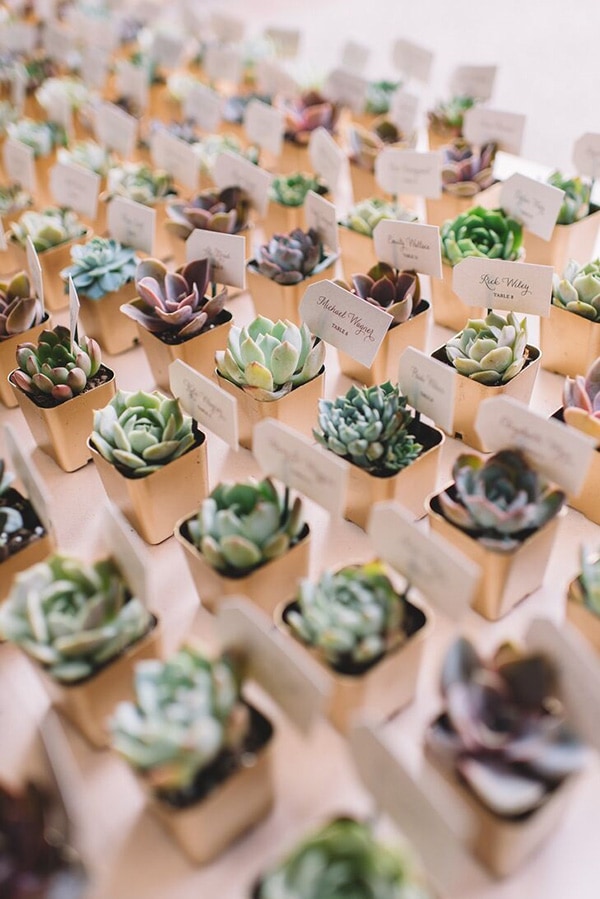 Eco-friendly potted succulent wedding favours that double as wedding reception escort cards for guests | Adam Kennedy Photography via The Knot