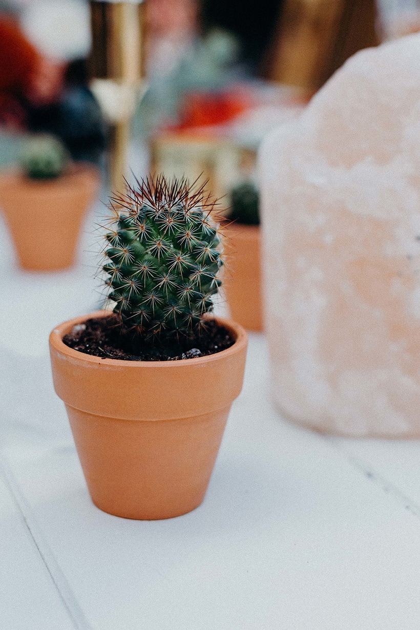 Burnt Orange Boho Desert Wedding Inspiration | Chasing Moments Photography