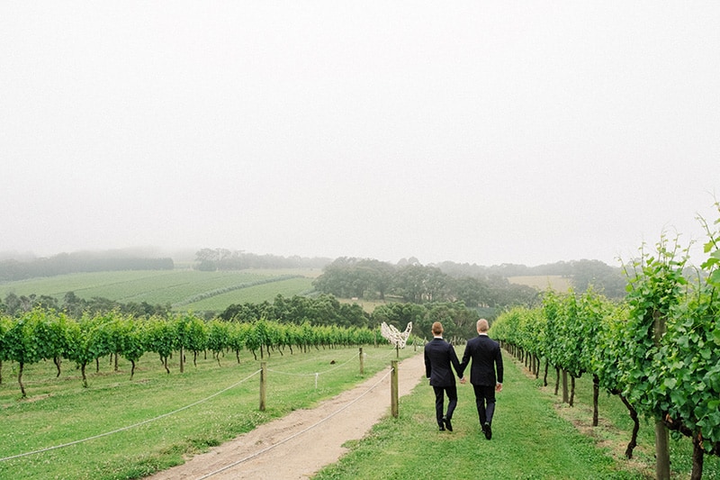 Montalto Vineyard & Olive Grove | Mornington Peninsula Wedding Venue