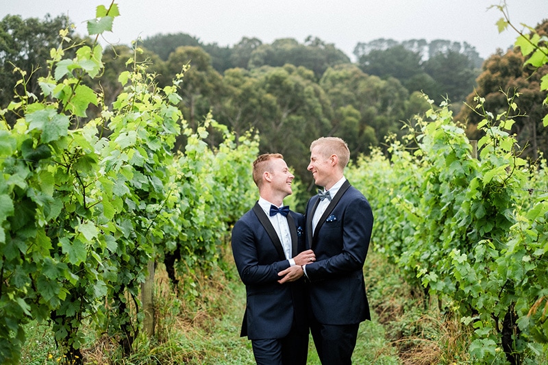 Montalto Vineyard & Olive Grove | Mornington Peninsula Wedding Venue