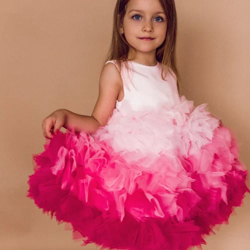 Pink Ombre Flower Girl Party Dress